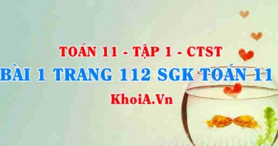 Bài 2 trang 112 SGK Toán 11 Tập 1 Chân trời sáng tạo